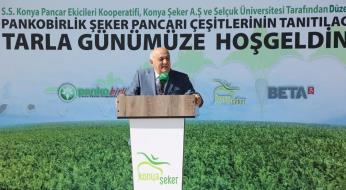 Yerli şeker pancarı tohumu tanıtıldı.